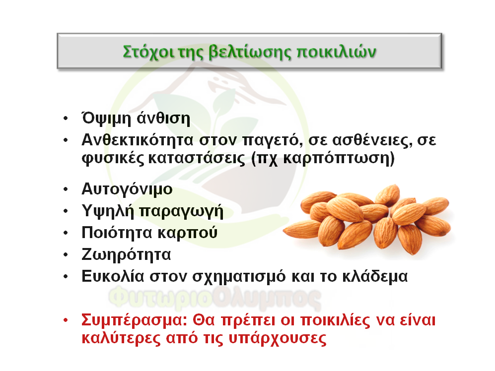 Ποικιλίες της Αμυγδαλιάς