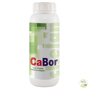 CaBor